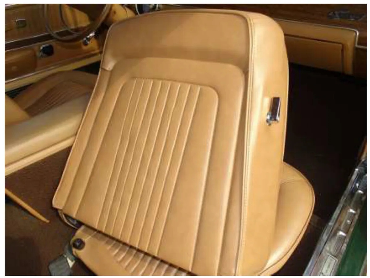 Shelby-Gt350-1968-Dark-Metallic-Green-Saddle-10