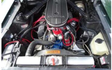 Shelby-Gt350-1968-Dark-Metallic-Green-Saddle-4