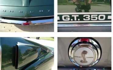 Shelby-Gt350-1968-Dark-Metallic-Green-Saddle-6