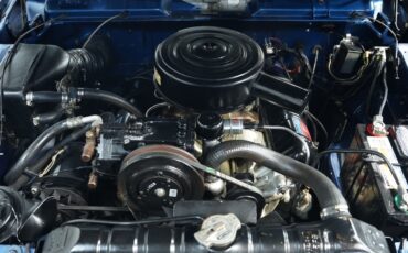 Studebaker-Champ-1960-Pickup-Truck-3
