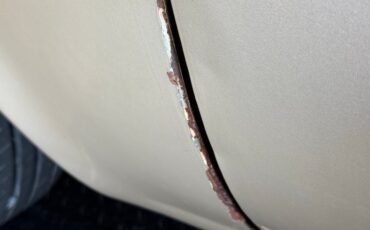 Studebaker-Lark-1964-Golden-Sand-Metallic-Tan-35