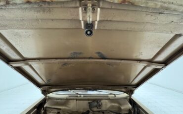 Studebaker-Lark-1964-Golden-Sand-Metallic-Tan-36