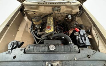 Studebaker-Lark-1964-Golden-Sand-Metallic-Tan-38