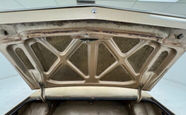 Studebaker-Lark-1964-Golden-Sand-Metallic-Tan-40