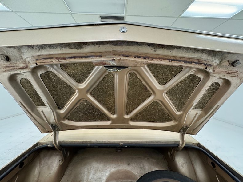 Studebaker-Lark-1964-Golden-Sand-Metallic-Tan-40