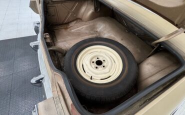 Studebaker-Lark-1964-Golden-Sand-Metallic-Tan-43