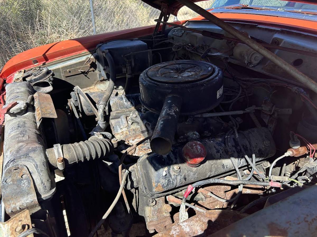 Studebaker-champ-pickup-1964-orange-11