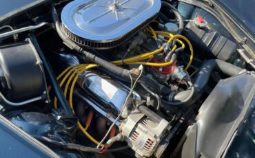 Sunbeam-Tiger-1966-Green-Tan-10