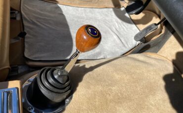 Sunbeam-Tiger-1966-Green-Tan-11