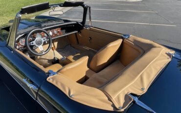 Sunbeam-Tiger-1966-Green-Tan-4