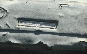 Torino-gt-fastback-1970-26