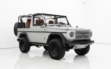 Touring-Design-250GD-1992-7