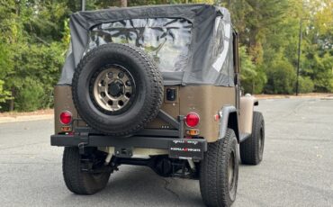 Toyota-FJ-Cruiser-1974-Convertible-10