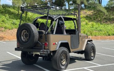 Toyota-FJ-Cruiser-1974-Convertible-26