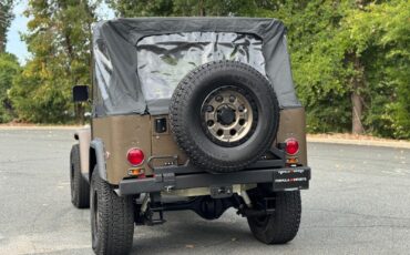 Toyota-FJ-Cruiser-1974-Convertible-8