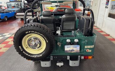 Toyota-FJ-Cruiser-1976-11