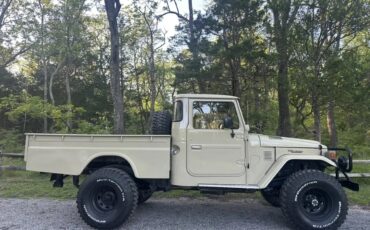 Toyota-Fj45-1983-Tan-464-Multi