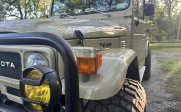 Toyota-Fj45-1983-Tan-464-Multi-4