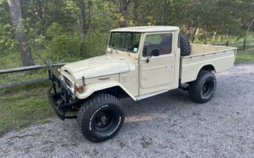 Toyota-Fj45-1983-Tan-464-Multi-6
