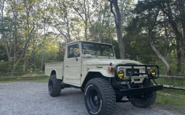Toyota-Fj45-1983-Tan-464-Multi-7