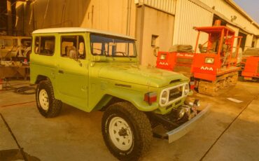 Toyota-Land-cruiser-1980-Green-Black-and-Green-6