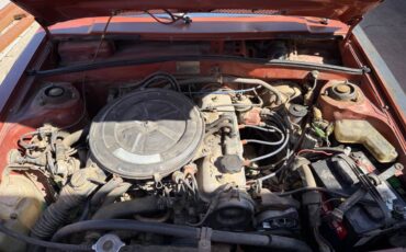 Toyota-corolla-1981-brown-2