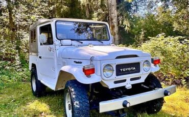 Toyota-fj-cruiser-4wd-1978-white-5