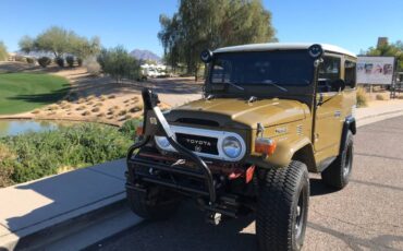 Toyota-fj40-1975-brown-3