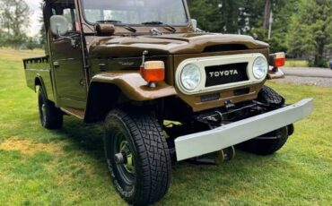 Toyota-fj45-1976-brown-2