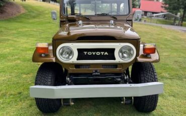 Toyota-fj45-1976-brown-3