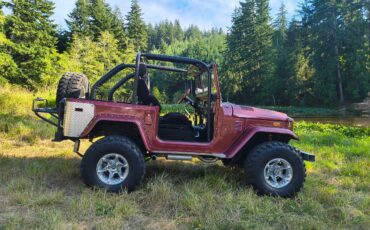 Toyota-land-cruiser-fj40-1972-18