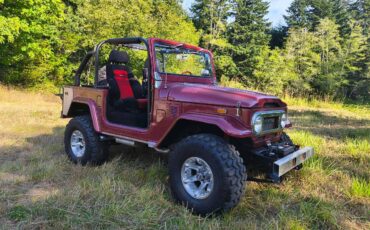 Toyota-land-cruiser-fj40-1972-8