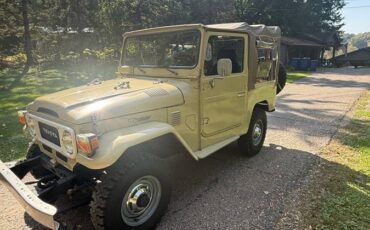 Toyota-landcruiser-1981-brown-1