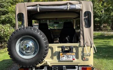 Toyota-landcruiser-1981-brown-10