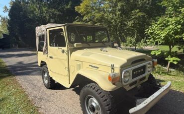 Toyota-landcruiser-1981-brown-11
