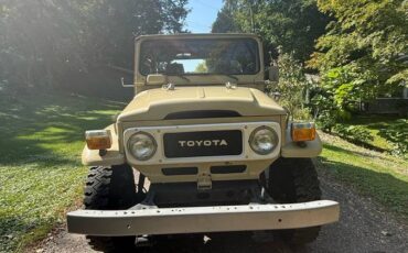 Toyota-landcruiser-1981-brown-2