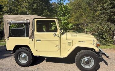 Toyota-landcruiser-1981-brown-9