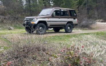 Toyota-lj78-prado-diesel-1991-brown-5