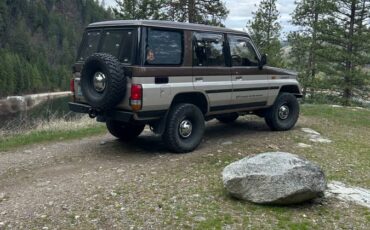 Toyota-lj78-prado-diesel-1991-brown-6