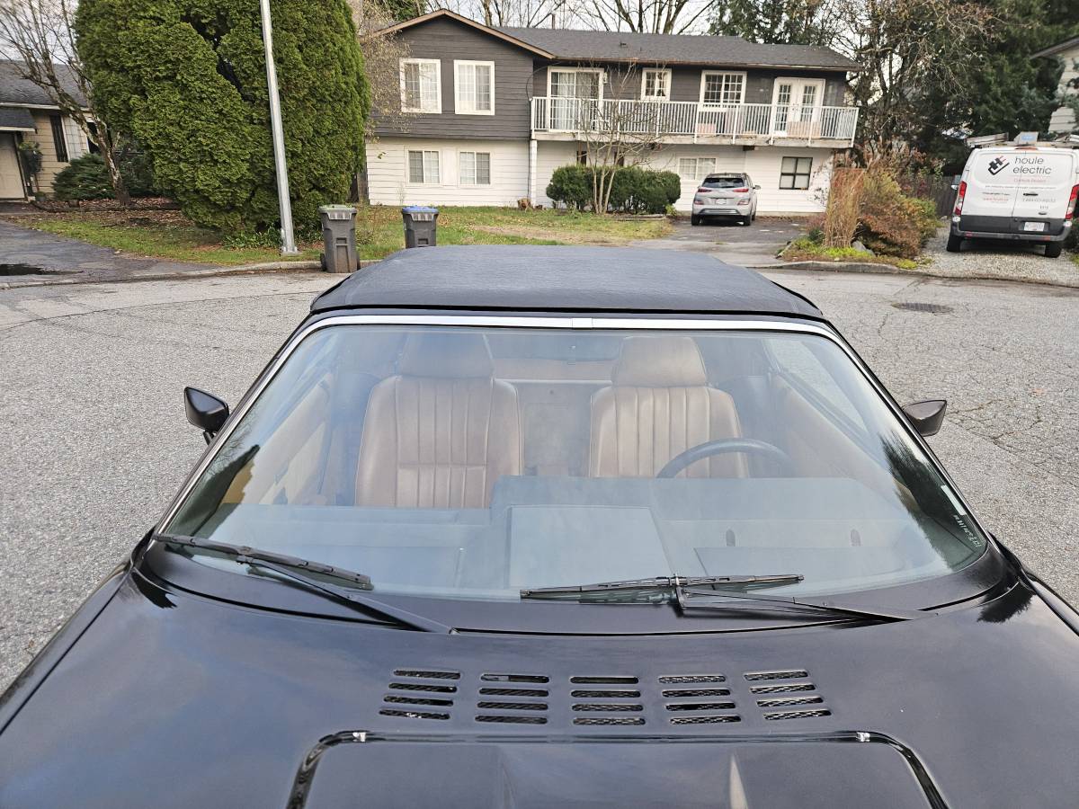 Triumph-1982-black-20