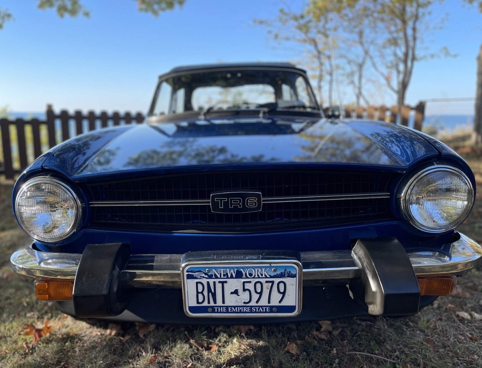 Triumph-TR-6-1976-Convertible-9