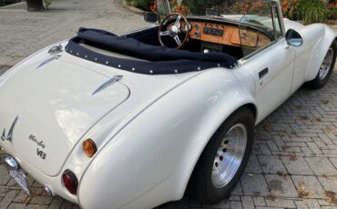 V8-austin-healey-1985-white-3