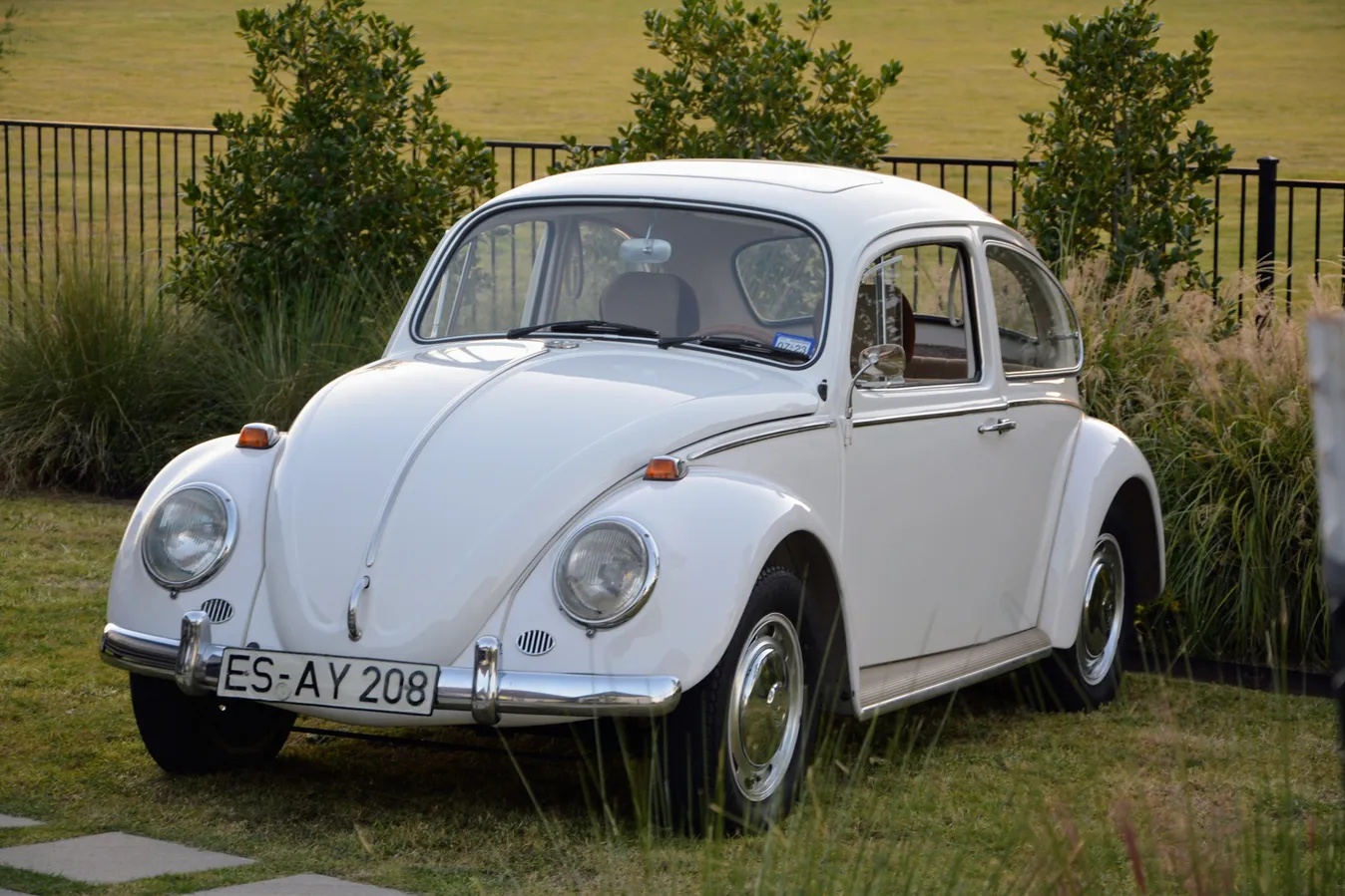 Volkswagen-Beetle-1966-Pearl-White-L87-Brown-1
