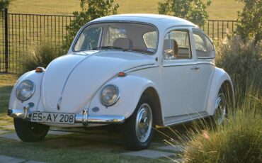 Volkswagen-Beetle-1966-Pearl-White-L87-Brown-9
