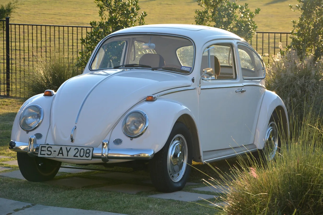 Volkswagen-Beetle-1966-Pearl-White-L87-Brown-9