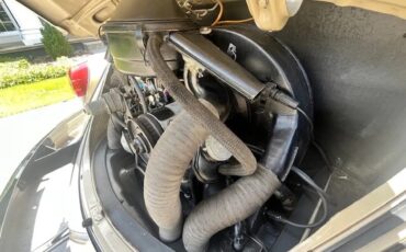 Volkswagen-Beetle-1968-15