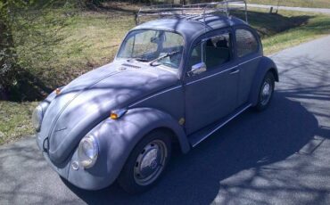 Volkswagen-Beetle-1969-Gray