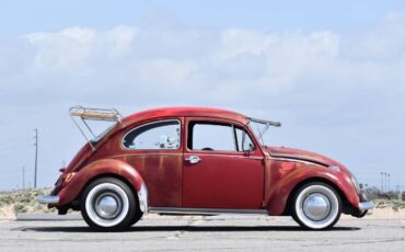 Volkswagen-Beetle-1969-Red-7