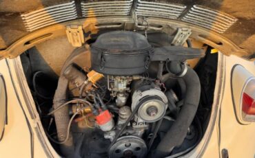 Volkswagen-Beetle-1970-Sahara-Beige-Black-17