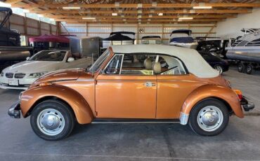 Volkswagen-Beetle-1978-Copper-Sand